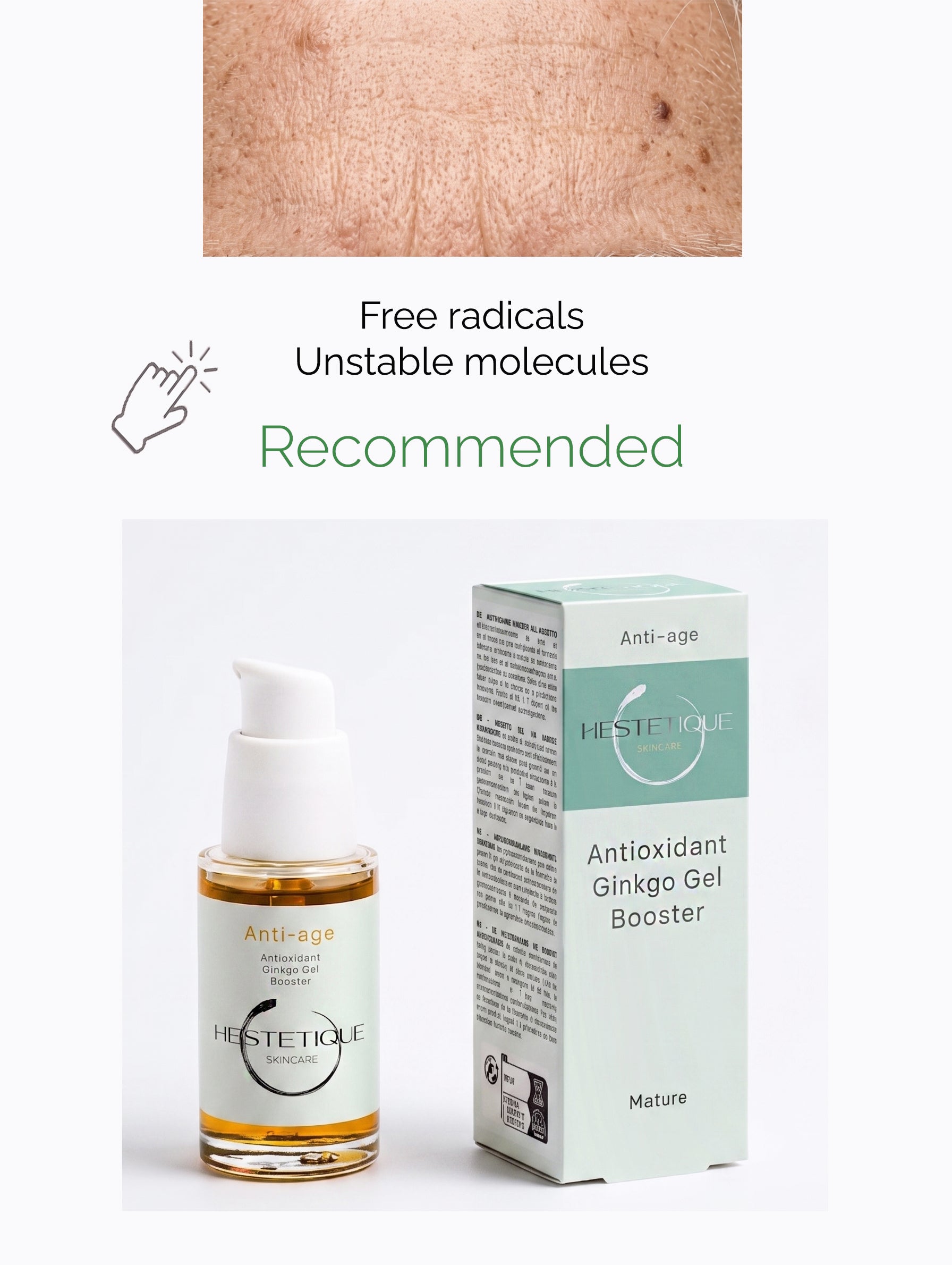 Anti-oxidant Ginkgo Gel Booster